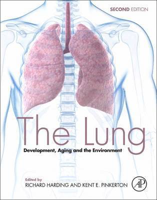 The Lung 1