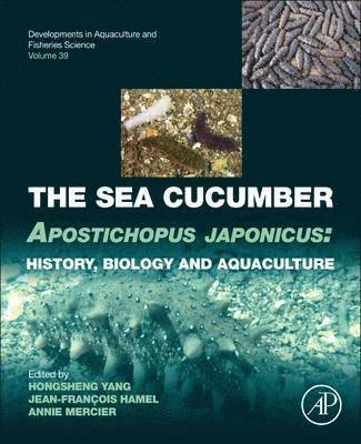 bokomslag The Sea Cucumber Apostichopus japonicus