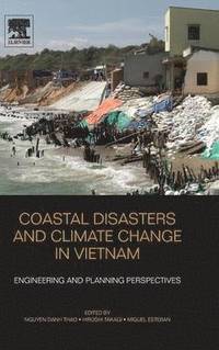 bokomslag Coastal Disasters and Climate Change in Vietnam