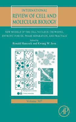 Ronald Hancock, Kwang W. Jeon - New Models of the Cell Nucleus: Crowding, Entropic Forces, Phase Separation, and Fractals, Inbunden