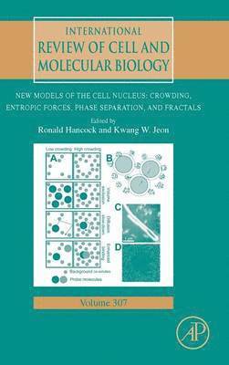 bokomslag New Models of the Cell Nucleus: Crowding, Entropic Forces, Phase Separation, and Fractals
