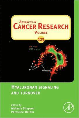 Hyaluronan Signaling and Turnover 1