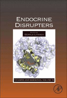 bokomslag Endocrine Disrupters