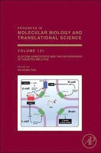 bokomslag Glucose Homeostatis and the Pathogenesis of Diabetes Mellitus