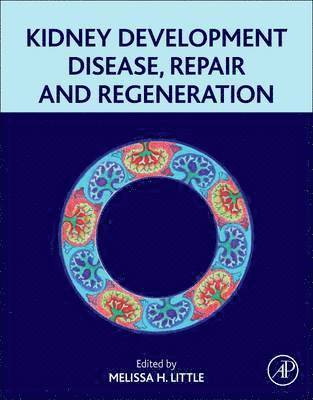 bokomslag Kidney Development, Disease, Repair and Regeneration