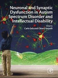 bokomslag Neuronal and Synaptic Dysfunction in Autism Spectrum Disorder and Intellectual Disability