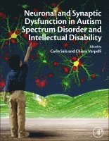 bokomslag Neuronal and Synaptic Dysfunction in Autism Spectrum Disorder and Intellectual Disability