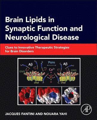 bokomslag Brain Lipids in Synaptic Function and Neurological Disease