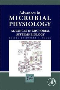 bokomslag Advances in Microbial Systems Biology