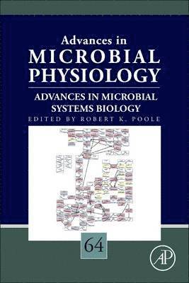 bokomslag Advances in Microbial Systems Biology