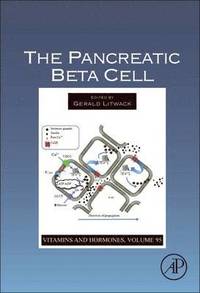 bokomslag The Pancreatic Beta Cell