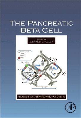 bokomslag The Pancreatic Beta Cell