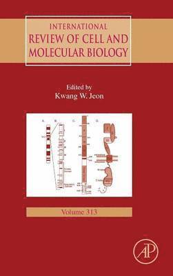 bokomslag International Review of Cell and Molecular Biology