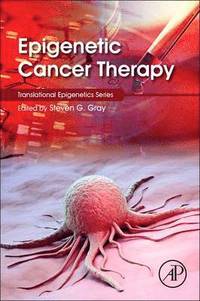 bokomslag Epigenetic Cancer Therapy