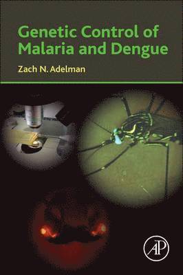 bokomslag Genetic Control of Malaria and Dengue