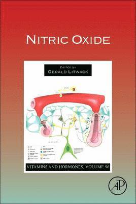 bokomslag Nitric Oxide