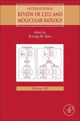 bokomslag International Review of Cell and Molecular Biology