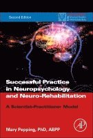 Mary Pepping - Successful Private Practice in Neuropsychology and Neuro-Rehabilitation, Häftad
