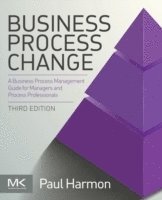 bokomslag Business Process Change