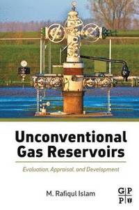bokomslag Unconventional Gas Reservoirs