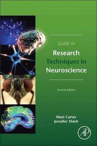 bokomslag Guide to Research Techniques in Neuroscience