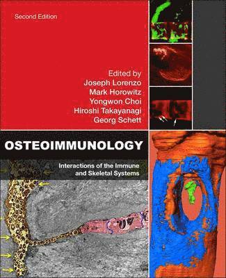 bokomslag Osteoimmunology