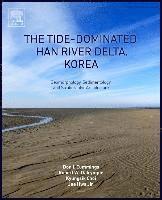 bokomslag The Tide-Dominated Han River Delta, Korea