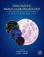 bokomslag Diagnostic Molecular Pathology