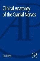 bokomslag Clinical Anatomy of the Cranial Nerves