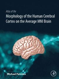 bokomslag Atlas of the Morphology of the Human Cerebral Cortex on the Average MNI Brain