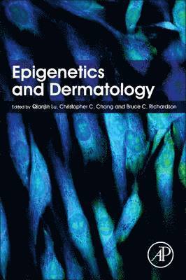 bokomslag Epigenetics and Dermatology