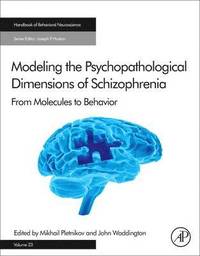 bokomslag Modeling the Psychopathological Dimensions of Schizophrenia