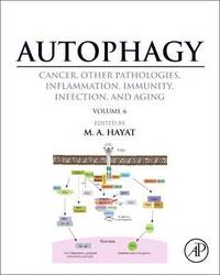 bokomslag Autophagy: Cancer, Other Pathologies, Inflammation, Immunity, Infection, and Aging