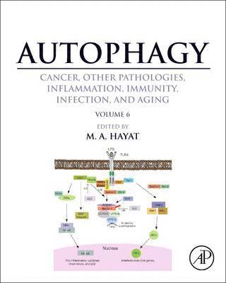 bokomslag Autophagy: Cancer, Other Pathologies, Inflammation, Immunity, Infection, and Aging