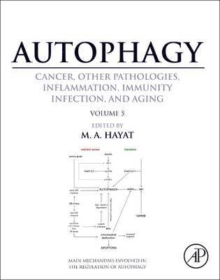 bokomslag Autophagy: Cancer, Other Pathologies, Inflammation, Immunity, Infection, and Aging