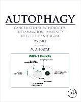 bokomslag Autophagy: Cancer, Other Pathologies, Inflammation, Immunity, Infection, and Aging