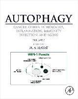Autophagy: Cancer, Other Pathologies, Inflammation, Immunity, Infection, and Aging