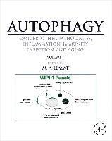 Autophagy: Cancer, Other Pathologies, Inflammation, Immunity, Infection, and Aging 1