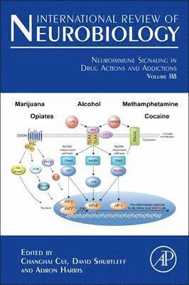 bokomslag Neuroimmune Signaling in Drug Actions and Addictions