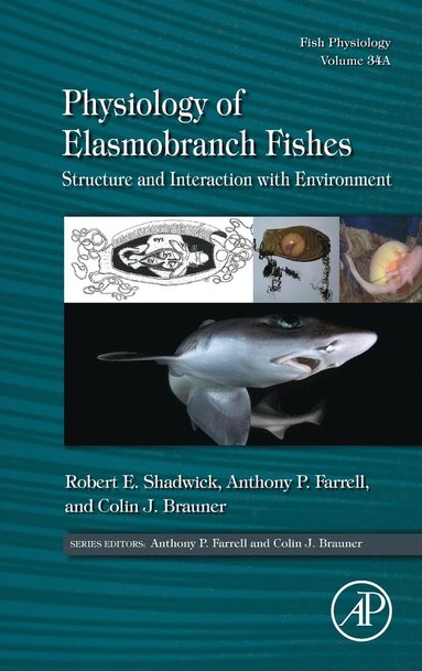 bokomslag Physiology of Elasmobranch Fishes: Structure and Interaction with Environment