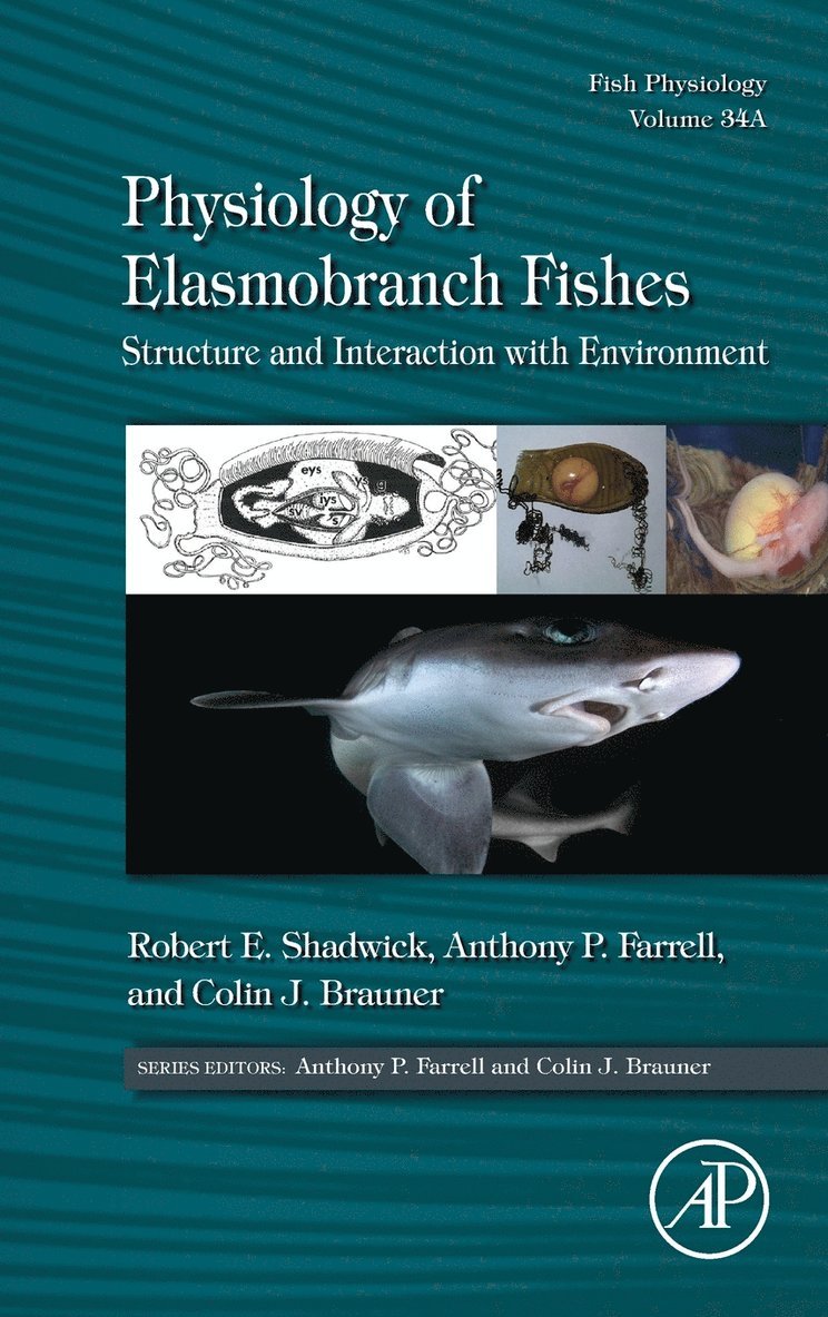 Physiology of Elasmobranch Fishes: Structure and Interaction with Environment 1
