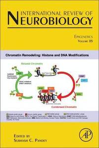 bokomslag Epigenetics