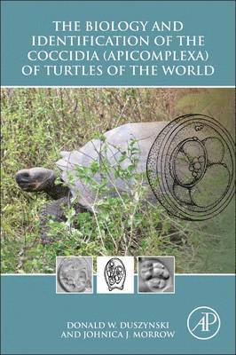 bokomslag The Biology and Identification of the Coccidia (Apicomplexa) of Turtles of the World