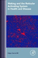 Waking and the Reticular Activating System in Health and Disease