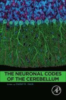 bokomslag The Neuronal Codes of the Cerebellum