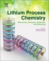 Alexandre Chagnes, Jolanta Swiatowska - Lithium Process Chemistry, Inbunden