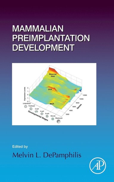 bokomslag Mammalian Preimplantation Development