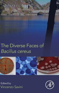 bokomslag The Diverse Faces of Bacillus Cereus