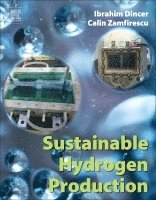 bokomslag Sustainable Hydrogen Production