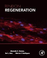 Manuela E. Gomes, Rui L. Reis, M�rcia T. Rodrigues - Tendon Regeneration, Häftad